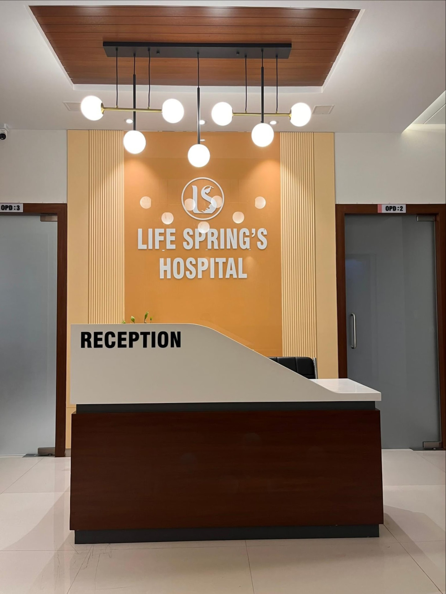 Life Springs reception